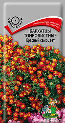 Бархатцы (Тагетес) тонколистные Красный самоцвет "ПОИСК"(ЦВ) ("1) 0,1гр.